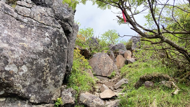 徳舜瞥山、ホロホロ山12