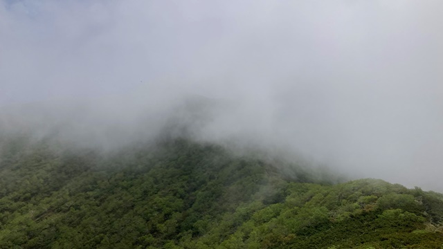 徳舜瞥山、ホロホロ山13