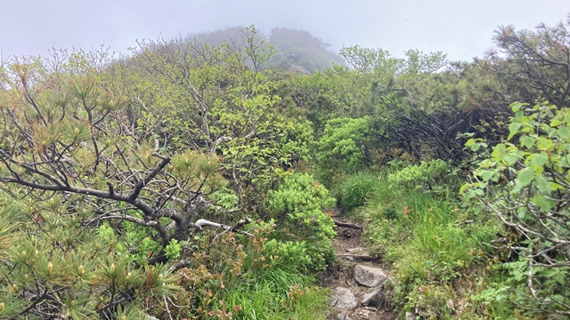 徳舜瞥山、ホロホロ山14