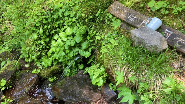 徳舜瞥山、ホロホロ山8