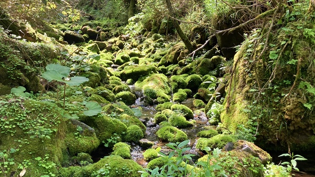 徳舜瞥山、ホロホロ山5