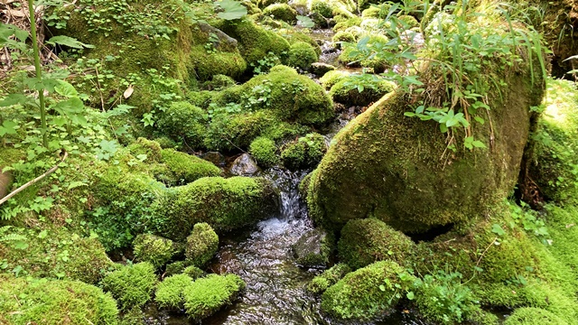 徳舜瞥山、ホロホロ山7