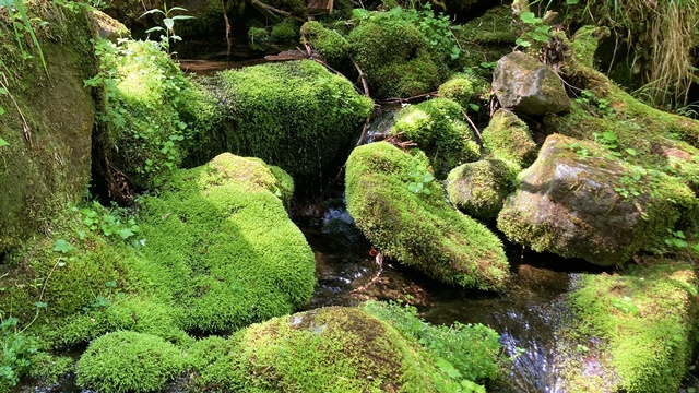 徳舜瞥山、ホロホロ山6