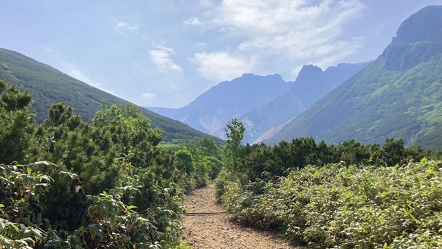 富良野岳3