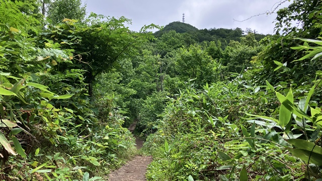 藻岩山4