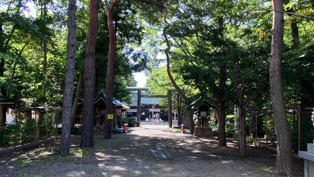 琴似神社2