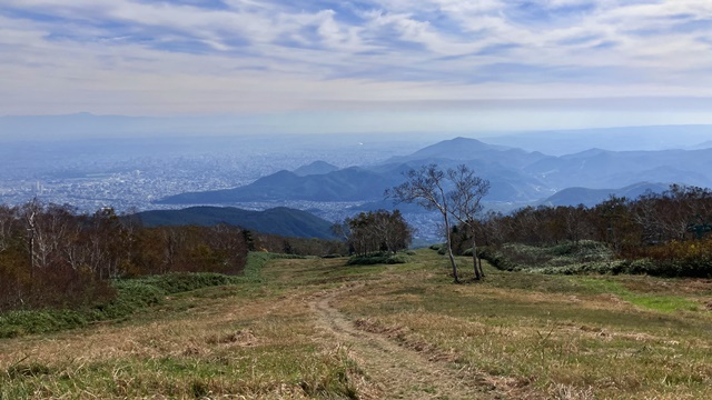 手稲山、ネオパラ11