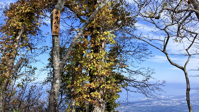 手稲山、ネオパラ18