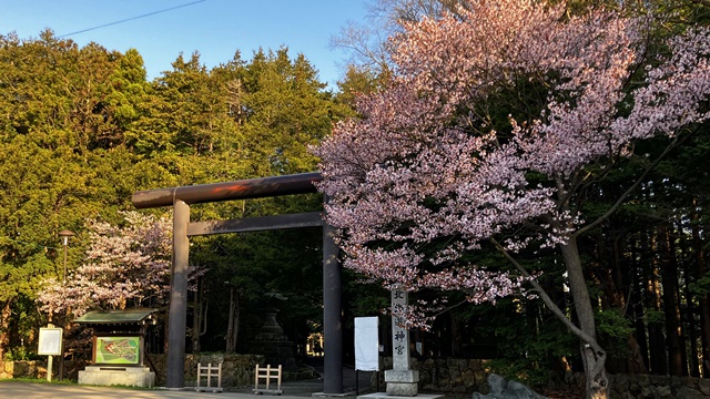 北海道神宮1