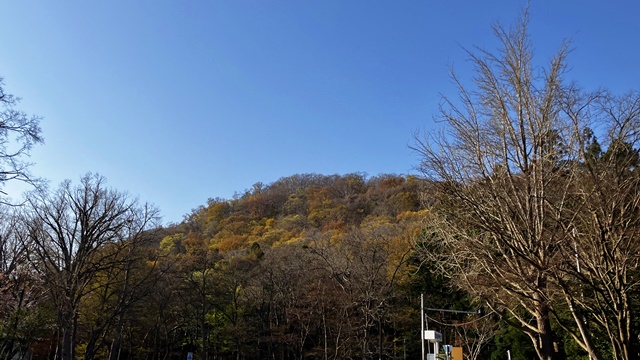 北海道神宮4