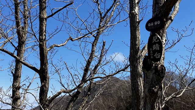 藻岩山4