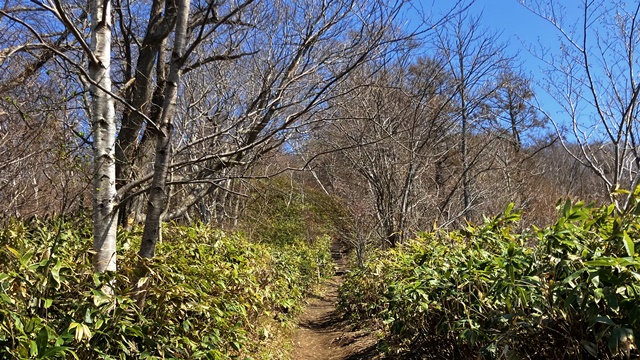 藻岩山5