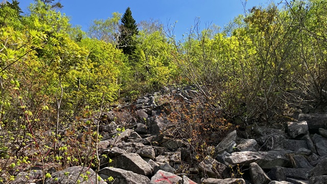 手稲山10