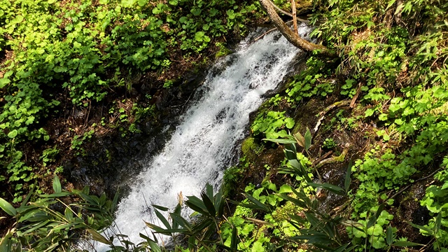 手稲山5