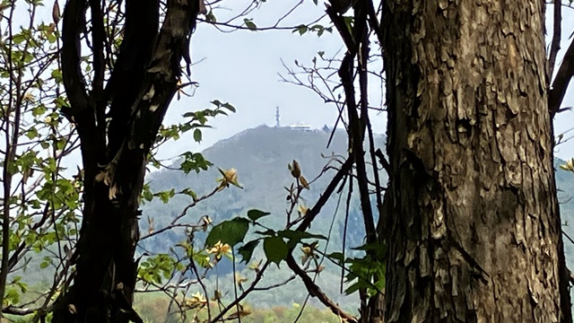 砥石山12