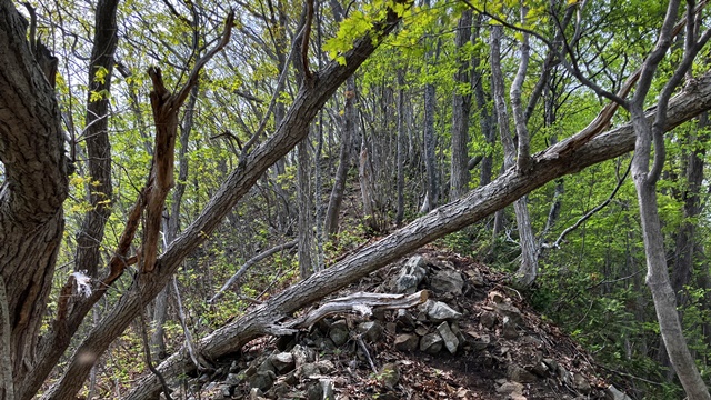 砥石山18