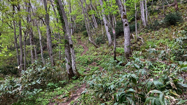 砥石山5