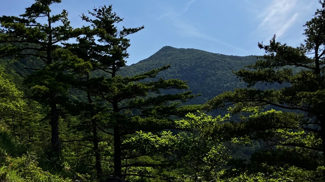 アポイ岳6
