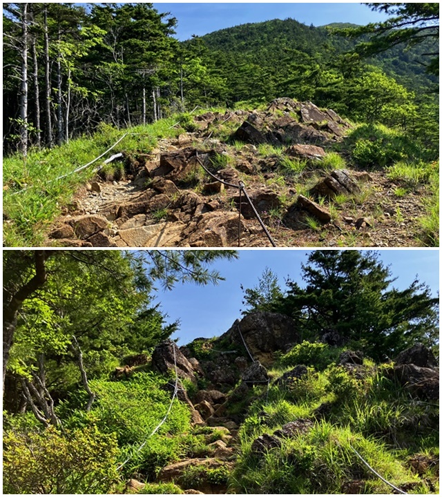 アポイ岳7