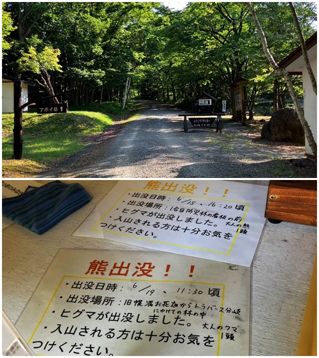 アポイ岳2