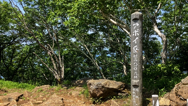 アポイ岳13