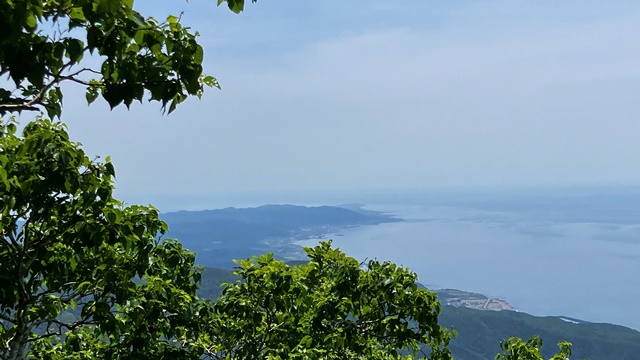 アポイ岳18