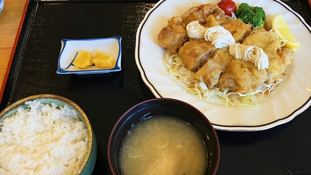アポイ岳22