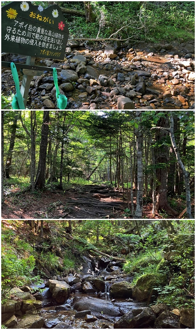 アポイ岳3