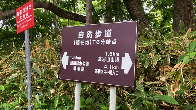 藻岩山3