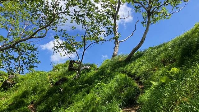 恵庭岳10