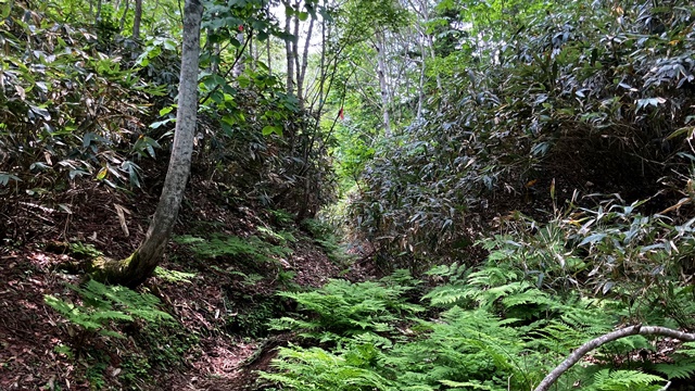 恵庭岳5