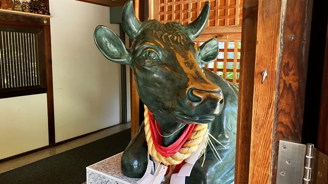 琴似神社4