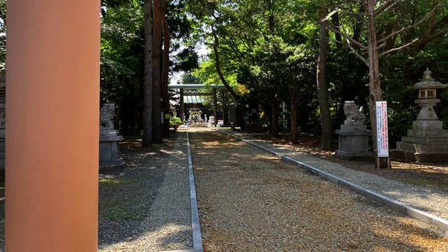 琴似神社1