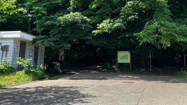 藻岩山12