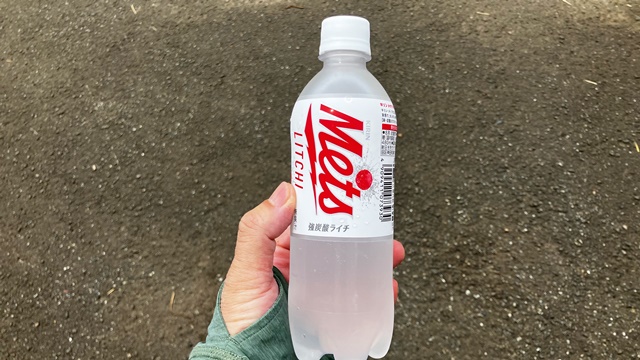 藻岩山6