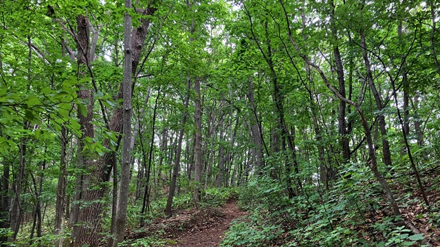 三角山2