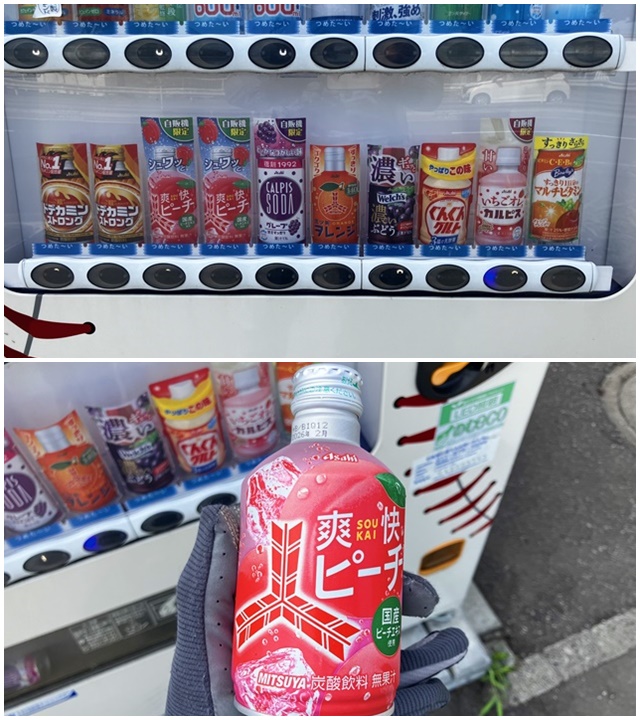 手稲山19