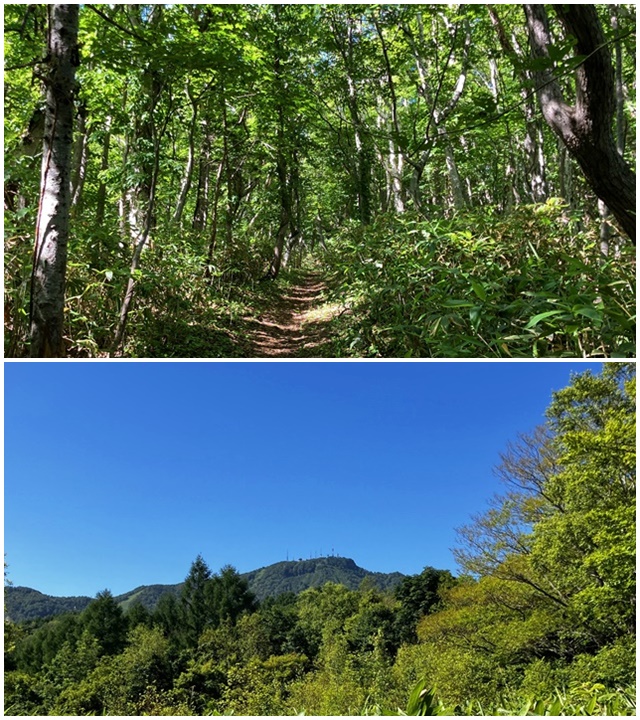 手稲山6