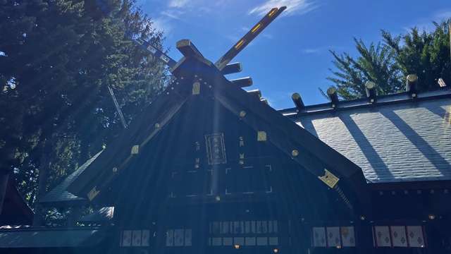 琴似神社5