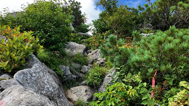目国内岳13