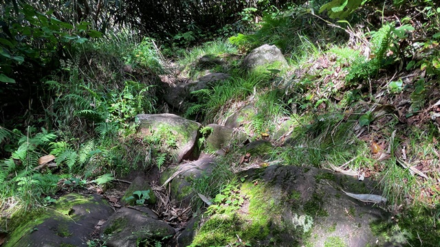 目国内岳4