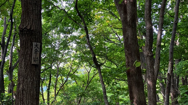 三角山5