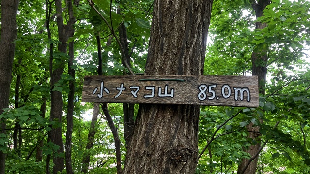 三角山8