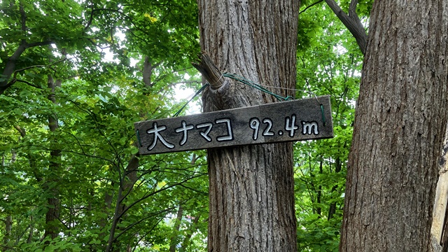 三角山9