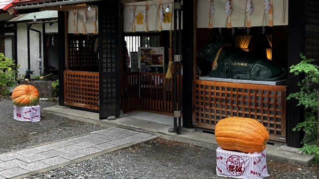 琴似神社4