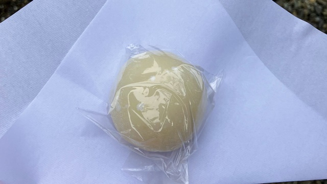 琴似神社8