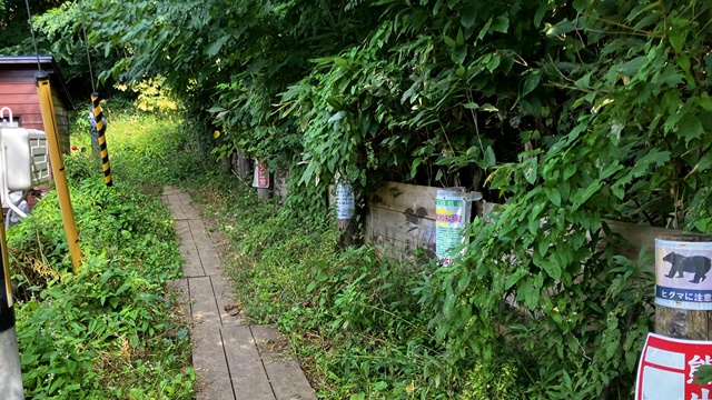 藻岩山13