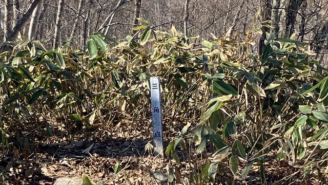 利根別自然公園～萩の山11