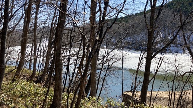 利根別自然公園～萩の山15