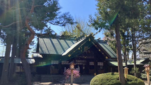 琴似神社4